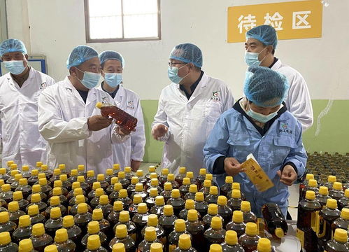 天津市甘肅商會(huì)赴武山縣考察，共探農(nóng)產(chǎn)品與工藝品產(chǎn)銷合作新機(jī)遇